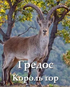 ������ - ������ ��� / Gredos - King of the Mountains