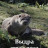 ����� - ����� (���������) ���� / Otter: The River Guardian