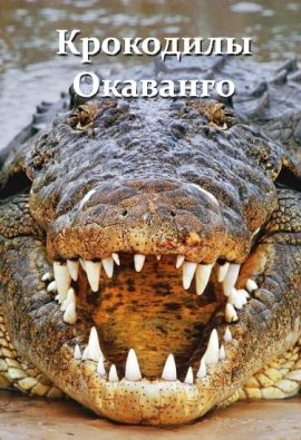 ��������� �������� / Crocodiles of the Okavango