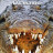 ��������� �������� / Crocodiles of the Okavango