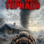 ������ ������� / Spidernado