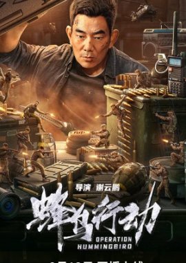 ������������! � �������� ����� ������... / Operation Hummingbird / Feng niao xing dong