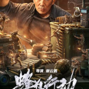 ������������! � �������� ����� ������... / Operation Hummingbird / Feng niao xing dong
