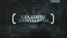 �������� ����������