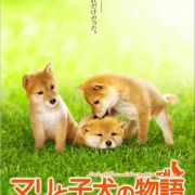 ������� ���� � ���� ������ / A Tale Of Mari And Three Puppies