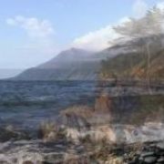 ������. ������� �������� �����. � ���� �������� ������