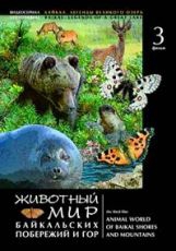 Животный мир байкальских побережий и гор