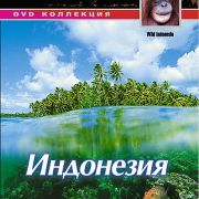 BBC:  / BBC:Wild Indonesia