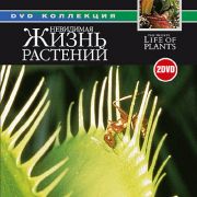 BBC:    / Invisible Life of Plants Gift Set