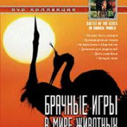 BBC: Брачные игры в мире животных. Часть 3 / BBC: Battle of the sexes in the animal world. Part 3