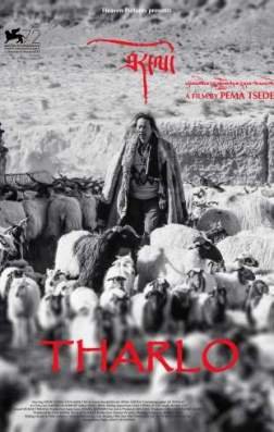 ����� / Tharlo