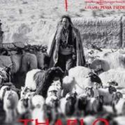 ����� / Tharlo