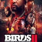    2 / Birds of a Feather 2