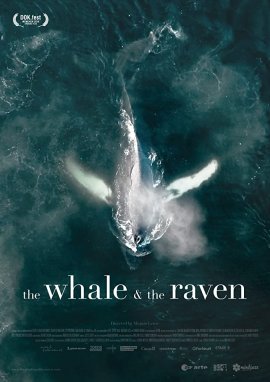    / The Whale and the Raven