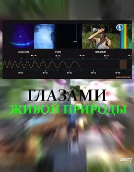 Глазами живой природы / Oeil pour oeil