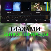 Глазами живой природы / Oeil pour oeil