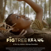 ����� / Fig Tree