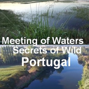 ������� ���. ������� ����� ������� ���������� / A Meeting of Waters - Secrets of Wild Portugal
