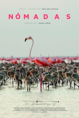      / Migrating to Mexico