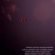 �������� / Calidris