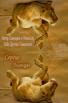   / Heart of a Lioness