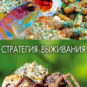 ��������� ����� / ��������� ��������� / Strategy of Life