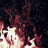   / Bonfire