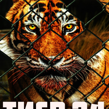 Asanrap шома тигр текст. Мой братан. Че за лев этот тигр кто поет. Мой брат тигр. L'one тигр.