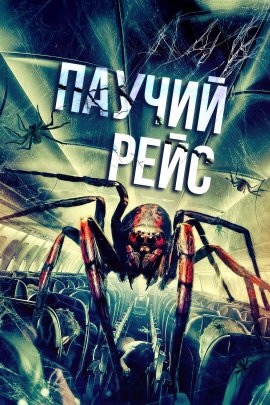   / Spiders on a Plane