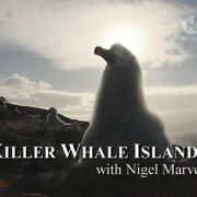 ������� ������� � ��������� �������� / Killer Whale Islands with Nigel Marven
