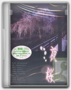 Сакура / Yozakura