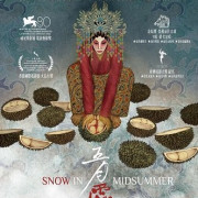     / Snow in Midsummer