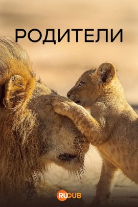   / Parenthood  