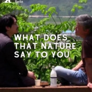      / What Does That Nature Say to You