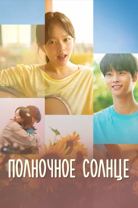   / Midnight Sun