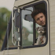    / Dogs on the Sendero