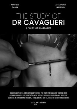    / The Study of Dr Cavaglieri