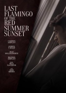      / Last Flamingo of the Red Summer Sunset