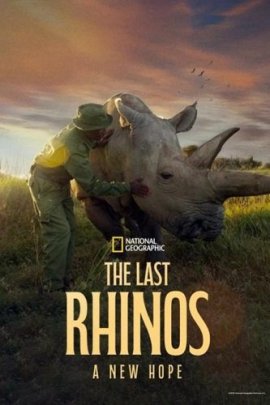  :   / The Last Rhinos: A New Hope