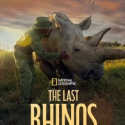  :   / The Last Rhinos: A New Hope