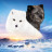   :   / Kina et Yuk, renards de la banquise
