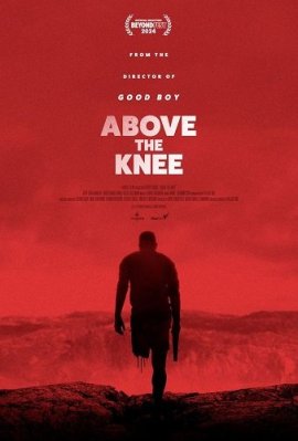   / Above the Knee