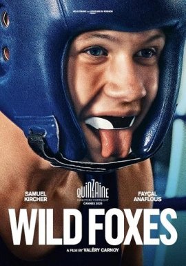   / Wild Foxes