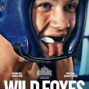   / Wild Foxes
