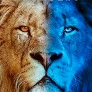      / Big Cats 24/7  