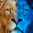      / Big Cats 24/7