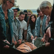   / Day of the Tiger