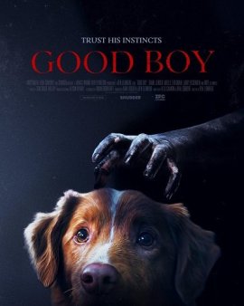   / Good Boy