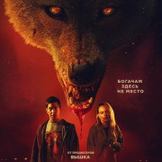  / Coyotes