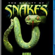 Красота змей / The Beauty Of Snakes